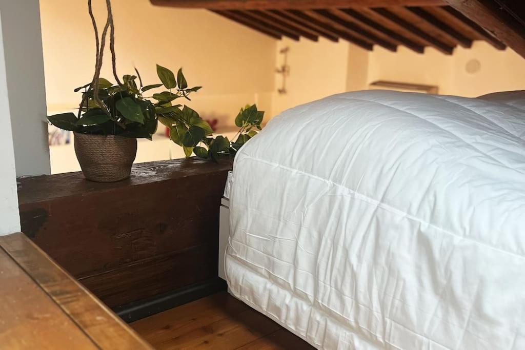 Romantic Apartment In فلورنس المظهر الخارجي الصورة